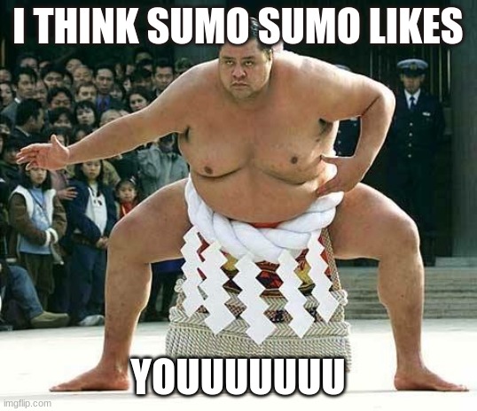 Sumo  | I THINK SUMO SUMO LIKES; YOUUUUUUU | image tagged in sumo | made w/ Imgflip meme maker