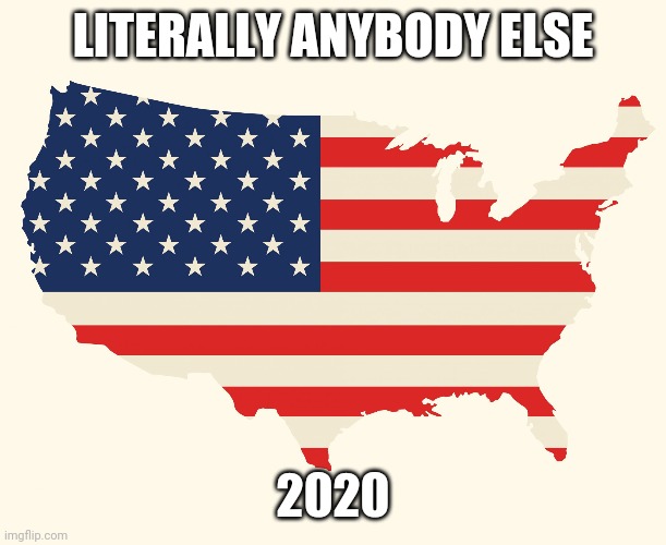 US flag | LITERALLY ANYBODY ELSE; 2020 | image tagged in us flag | made w/ Imgflip meme maker