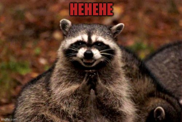 Evil Plotting Raccoon Meme | HEHEHE | image tagged in memes,evil plotting raccoon | made w/ Imgflip meme maker