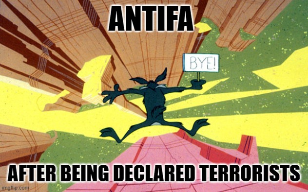 Suddenly, the wheels of justice started to turn. | ANTIFA; AFTER BEING DECLARED TERRORISTS | image tagged in wile e coyote falling off of cliff | made w/ Imgflip meme maker