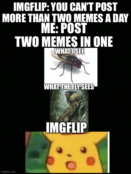 Imgflip | IMGFLIP: YOU CAN’T POST MORE THAN TWO MEMES A DAY; ME: POST TWO MEMES IN ONE; IMGFLIP | image tagged in funny memes | made w/ Imgflip meme maker
