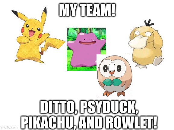 My team! (also in the rp my name is J.J) | MY TEAM! DITTO, PSYDUCK, PIKACHU, AND ROWLET! | image tagged in blank white template | made w/ Imgflip meme maker