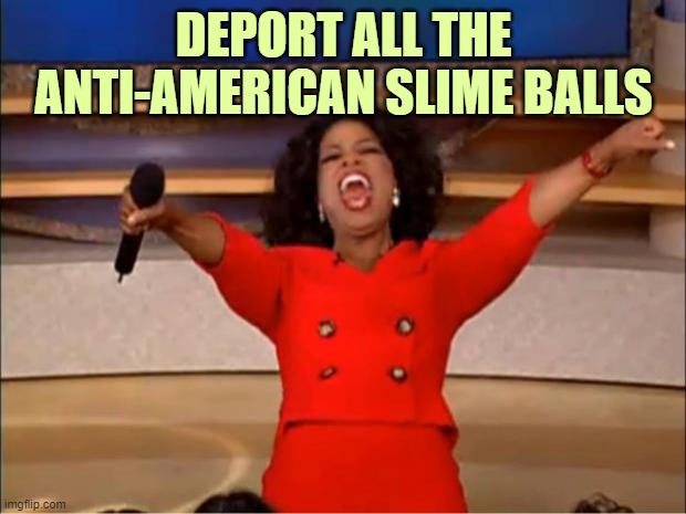 Oprah You Get A Meme | DEPORT ALL THE ANTI-AMERICAN SLIME BALLS | image tagged in memes,oprah you get a | made w/ Imgflip meme maker