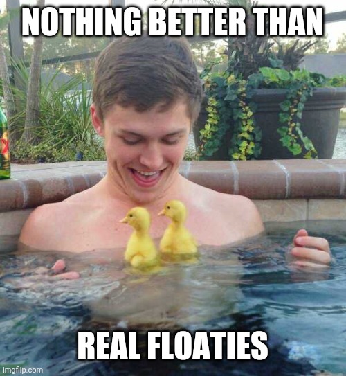 THEY MOVE ON THEIR OWN | NOTHING BETTER THAN; REAL FLOATIES | image tagged in ducks,swimming pool | made w/ Imgflip meme maker