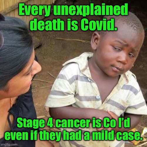 Third World Skeptical Kid Meme | Every unexplained death is Covid. Stage 4 cancer is Co I’d even if they had a mild case. | image tagged in memes,third world skeptical kid | made w/ Imgflip meme maker