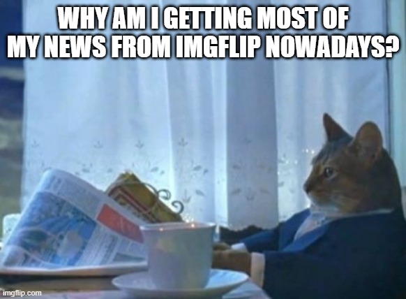 I Should Buy A Boat Cat Meme | WHY AM I GETTING MOST OF MY NEWS FROM IMGFLIP NOWADAYS? | image tagged in memes,i should buy a boat cat | made w/ Imgflip meme maker