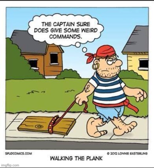 WALK THE PLANK | image tagged in pirate,pirates,comics/cartoons | made w/ Imgflip meme maker