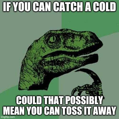 Philosoraptor | IF YOU CAN CATCH A COLD; COULD THAT POSSIBLY MEAN YOU CAN TOSS IT AWAY | image tagged in memes,philosoraptor | made w/ Imgflip meme maker