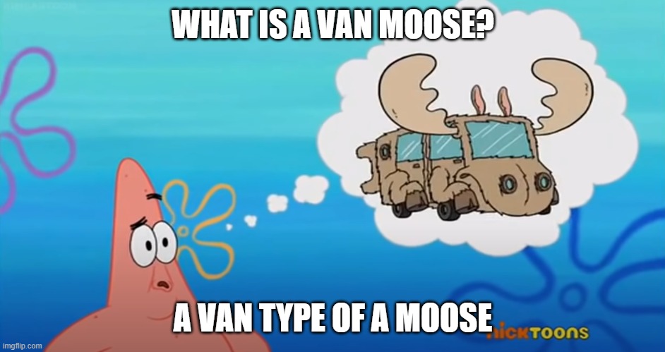 Funny | WHAT IS A VAN MOOSE? A VAN TYPE OF A MOOSE | image tagged in funny memes | made w/ Imgflip meme maker