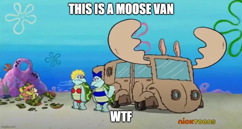 Funny | THIS IS A MOOSE VAN; WTF | image tagged in spongebob | made w/ Imgflip meme maker