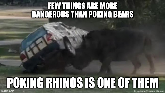 FEW THINGS ARE MORE DANGEROUS THAN POKING BEARS; POKING RHINOS IS ONE OF THEM | image tagged in dumb people | made w/ Imgflip meme maker