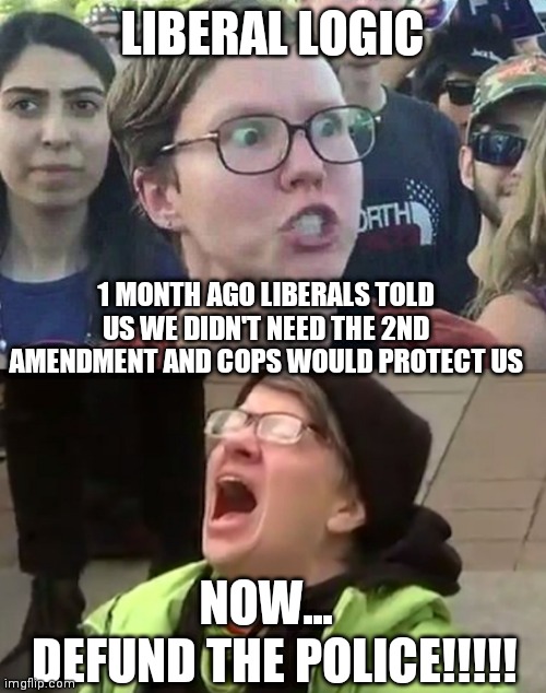 LIBERAL LOGIC; 1 MONTH AGO LIBERALS TOLD US WE DIDN'T NEED THE 2ND AMENDMENT AND COPS WOULD PROTECT US; NOW... DEFUND THE POLICE!!!!! | image tagged in triggered liberal,screaming liberal | made w/ Imgflip meme maker