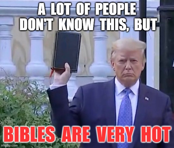 You shall love your neighbor as yourself | A  LOT  OF  PEOPLE  DON'T  KNOW  THIS,  BUT; BIBLES  ARE  VERY  HOT | image tagged in it's a bible,trump,riots,protesters | made w/ Imgflip meme maker