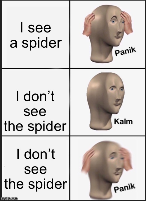 Panic | I see a spider; I don’t see the spider; I don’t see the spider | image tagged in memes,panik kalm panik | made w/ Imgflip meme maker