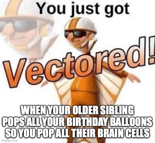 You just got vectored | WHEN YOUR OLDER SIBLING POPS ALL YOUR BIRTHDAY BALLOONS SO YOU POP ALL THEIR BRAIN CELLS | image tagged in you just got vectored | made w/ Imgflip meme maker