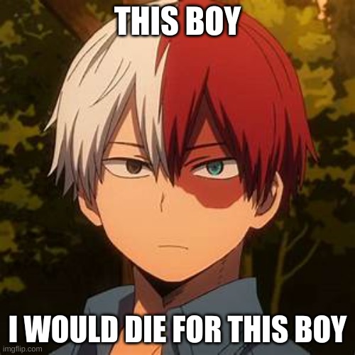 TODOROKI | THIS BOY; I WOULD DIE FOR THIS BOY | image tagged in todoroki | made w/ Imgflip meme maker