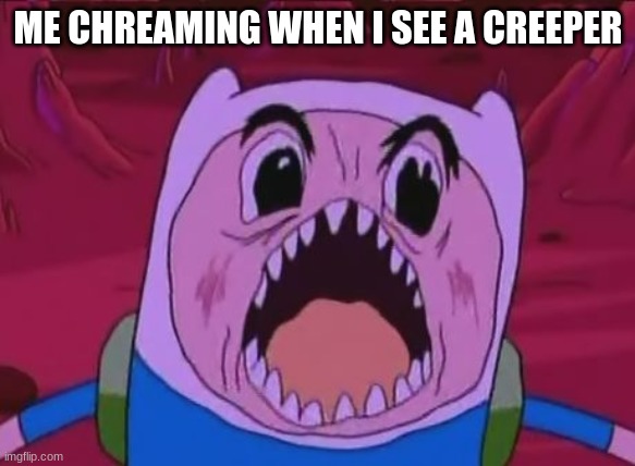Finn The Human | ME CHREAMING WHEN I SEE A CREEPER | image tagged in memes,finn the human | made w/ Imgflip meme maker