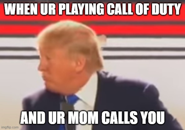 Seriously trump | WHEN UR PLAYING CALL OF DUTY; AND UR MOM CALLS YOU | image tagged in donald trump,bruh | made w/ Imgflip meme maker