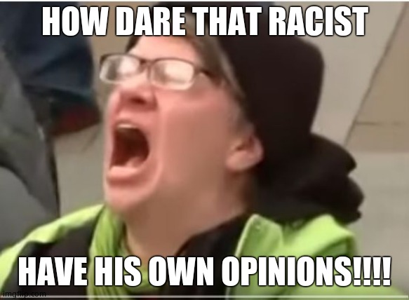 Screaming Liberal | HOW DARE THAT RACIST HAVE HIS OWN OPINIONS!!!! | image tagged in screaming liberal | made w/ Imgflip meme maker