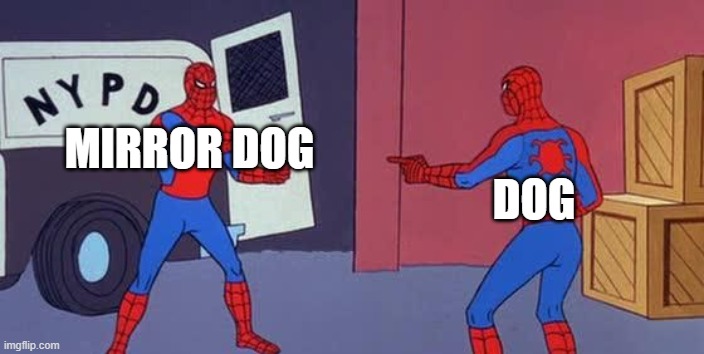 Spider Man Double | MIRROR DOG; DOG | image tagged in spider man double | made w/ Imgflip meme maker