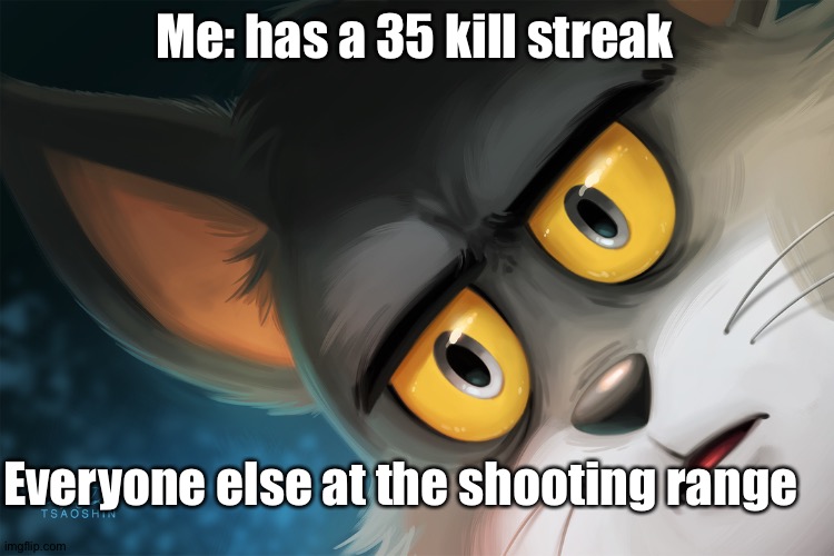 Unsettled Tom Stylized | Me: has a 35 kill streak; Everyone else at the shooting range | image tagged in unsettled tom stylized | made w/ Imgflip meme maker