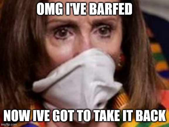 pelosi | OMG I'VE BARFED; NOW IVE GOT TO TAKE IT BACK | image tagged in political humor | made w/ Imgflip meme maker