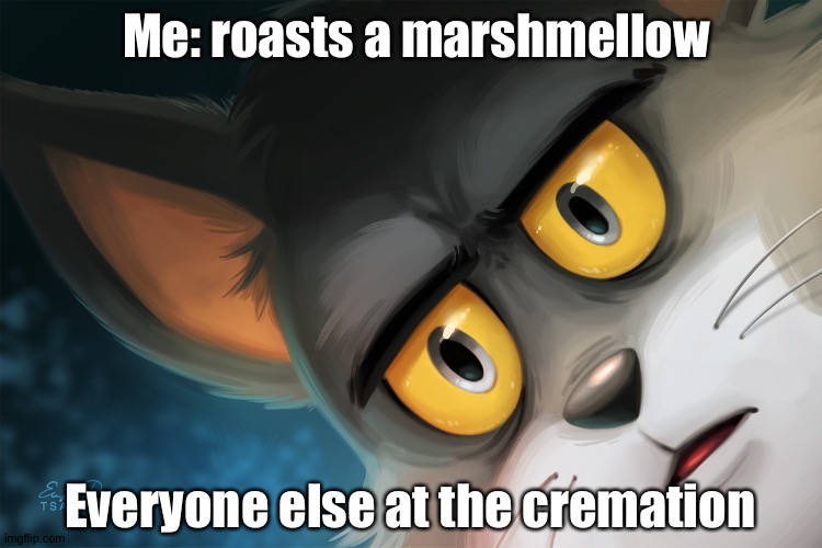 Unsettled Tom Stylized | Me: roasts a marshmellow; Everyone else at the cremation | image tagged in unsettled tom stylized | made w/ Imgflip meme maker