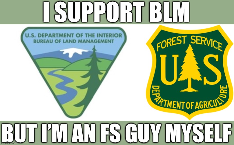 BLM VS FS |  I SUPPORT BLM; BUT I’M AN FS GUY MYSELF | image tagged in blm | made w/ Imgflip meme maker