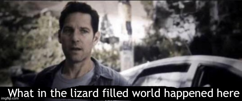 What in the lizard filled world happened here | image tagged in what in the lizard filled world happened here | made w/ Imgflip meme maker