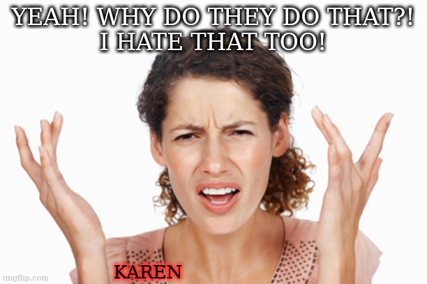 Indignant | YEAH! WHY DO THEY DO THAT?!
I HATE THAT TOO! KAREN | image tagged in indignant | made w/ Imgflip meme maker