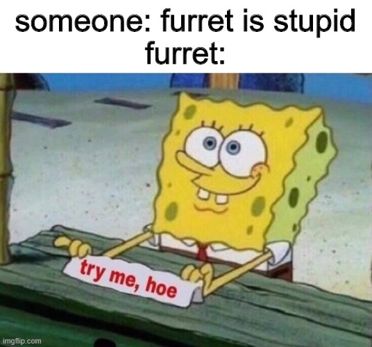 damn boi furret don't like u | someone: furret is stupid
furret: | image tagged in try me hoe,furret,haters | made w/ Imgflip meme maker