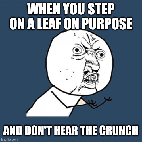 Y U No | WHEN YOU STEP ON A LEAF ON PURPOSE; AND DON'T HEAR THE CRUNCH | image tagged in memes,y u no | made w/ Imgflip meme maker