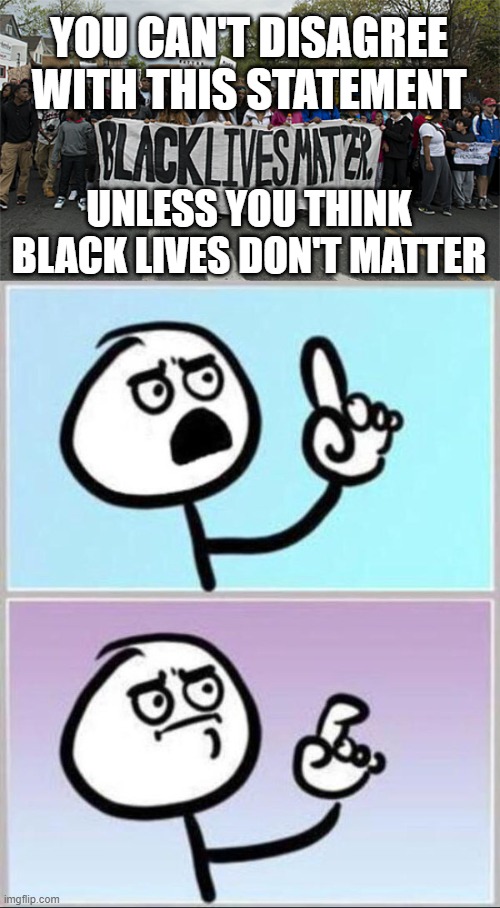 Think about it. | YOU CAN'T DISAGREE WITH THIS STATEMENT; UNLESS YOU THINK BLACK LIVES DON'T MATTER | image tagged in black lives matter,ok-but | made w/ Imgflip meme maker