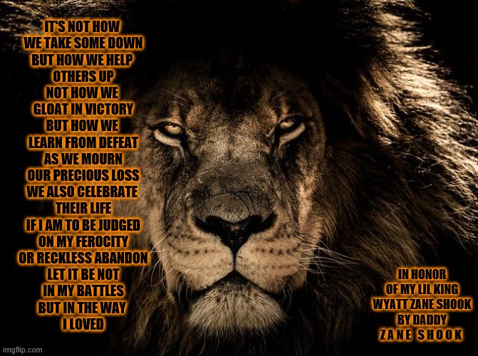 My Lion, my King | IT'S NOT HOW 
WE TAKE SOME DOWN
BUT HOW WE HELP 
OTHERS UP
NOT HOW WE 
GLOAT IN VICTORY
BUT HOW WE 
LEARN FROM DEFEAT
AS WE MOURN
OUR PRECIOUS LOSS
WE ALSO CELEBRATE 
THEIR LIFE
IF I AM TO BE JUDGED
ON MY FEROCITY
OR RECKLESS ABANDON
LET IT BE NOT
IN MY BATTLES
BUT IN THE WAY 
I LOVED; IN HONOR
OF MY LIL KING
WYATT ZANE SHOOK
BY DADDY
Z A N E   S H O O K | image tagged in love,hope,sorrow,grief | made w/ Imgflip meme maker