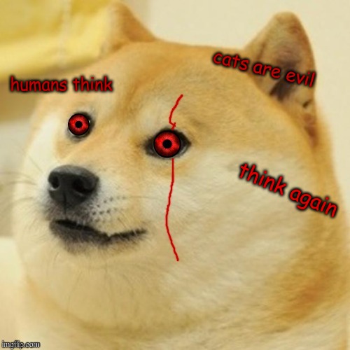 how dare you | cats are evil; humans think; think again | image tagged in evil doge | made w/ Imgflip meme maker