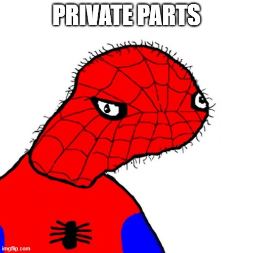 weeweeee | PRIVATE PARTS | image tagged in spoderman | made w/ Imgflip meme maker