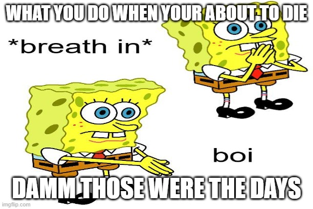 boiiiii | WHAT YOU DO WHEN YOUR ABOUT TO DIE; DAMM THOSE WERE THE DAYS | image tagged in boi | made w/ Imgflip meme maker