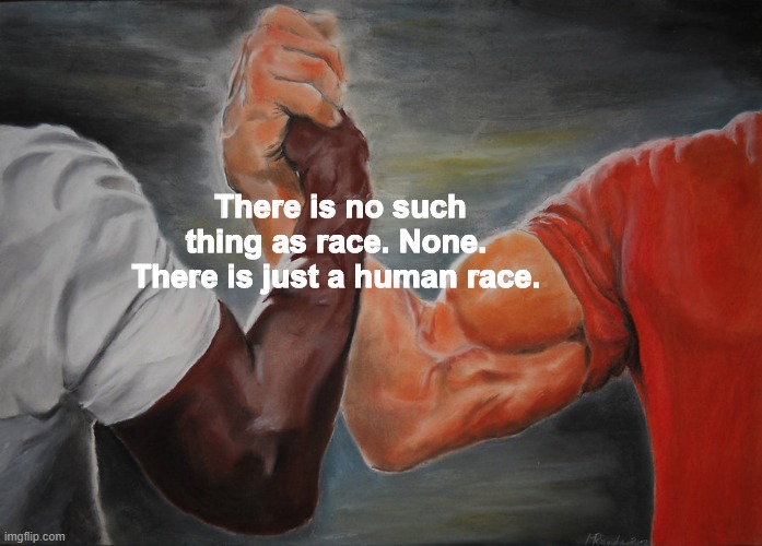 Epic Handshake Meme | There is no such thing as race. None. There is just a human race. | image tagged in memes,epic handshake | made w/ Imgflip meme maker