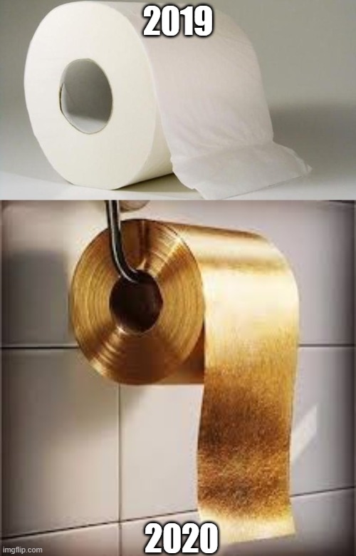 2020 be like | 2019; 2020 | image tagged in covid-19,toilet paper,gold | made w/ Imgflip meme maker