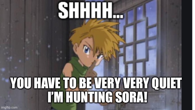 YOU HAVE TO BE VERY VERY QUIET 
I’M HUNTING SORA! | made w/ Imgflip meme maker