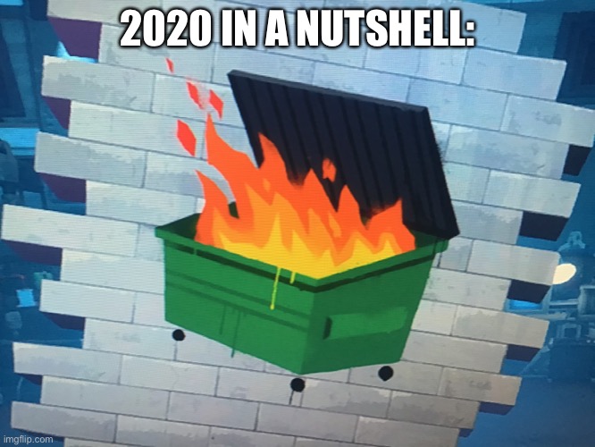 It’s true tho | 2020 IN A NUTSHELL: | image tagged in 2020 garbage fire | made w/ Imgflip meme maker