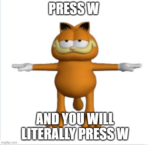 garfield t-pose | PRESS W; AND YOU WILL LITERALLY PRESS W | image tagged in garfield t-pose | made w/ Imgflip meme maker