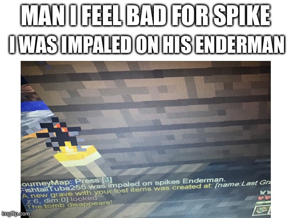 That’s not me using chat, that appeared when I died. P.s. please don’t friend me | I WAS IMPALED ON HIS ENDERMAN; MAN I FEEL BAD FOR SPIKE | image tagged in minecraft | made w/ Imgflip meme maker