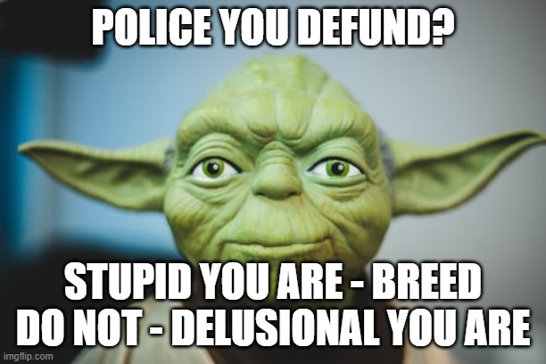 Police, Defund Police | POLICE YOU DEFUND? STUPID YOU ARE - BREED DO NOT - DELUSIONAL YOU ARE | image tagged in police | made w/ Imgflip meme maker