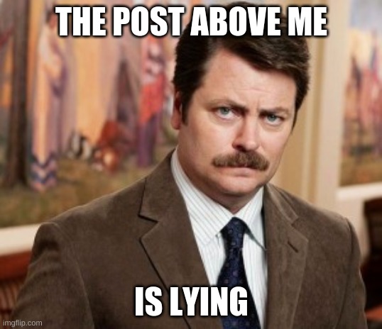 Ron Swanson Meme | THE POST ABOVE ME IS LYING | image tagged in memes,ron swanson | made w/ Imgflip meme maker