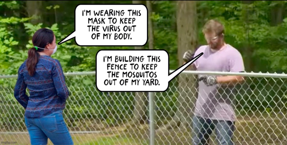 The essence of “masks” | image tagged in cloth masks,covid19,chain link fence,mosquitoes | made w/ Imgflip meme maker