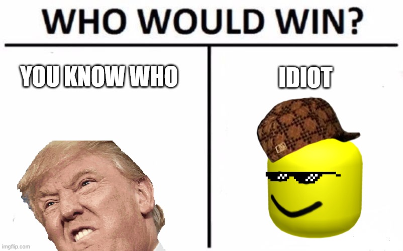 Who Would Win? | YOU KNOW WHO; IDIOT | image tagged in memes,who would win | made w/ Imgflip meme maker