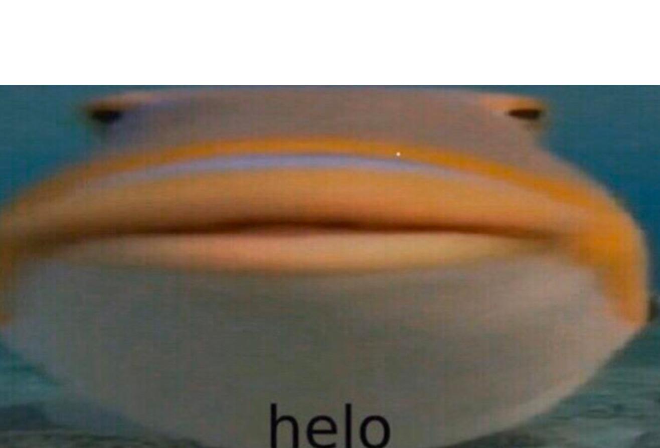 helo fish with caption Blank Meme Template