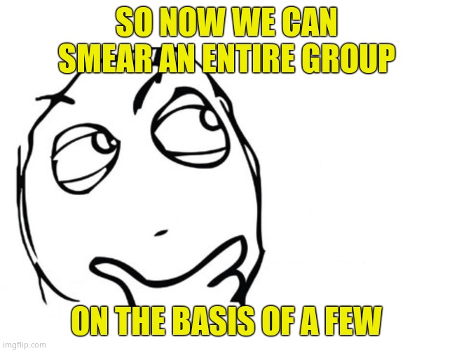 hmmm | SO NOW WE CAN SMEAR AN ENTIRE GROUP ON THE BASIS OF A FEW | image tagged in hmmm | made w/ Imgflip meme maker