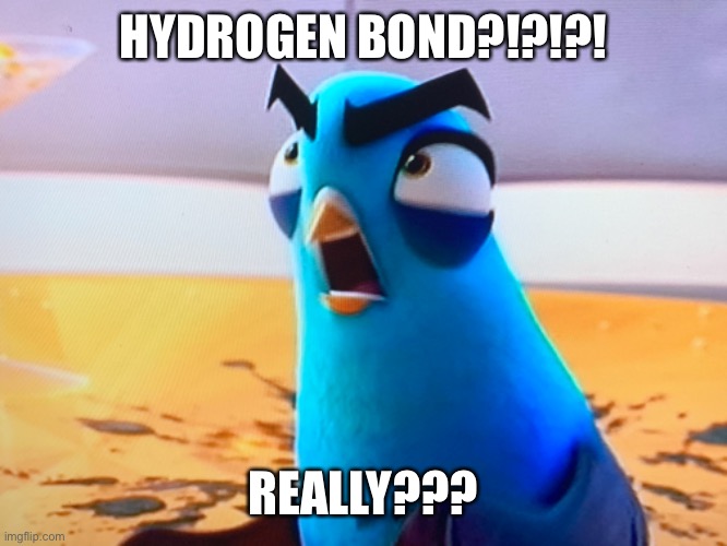 HYDROGEN BOND?!?!?! REALLY??? | made w/ Imgflip meme maker